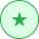 ÍCONE VERDE DE ESTRELA